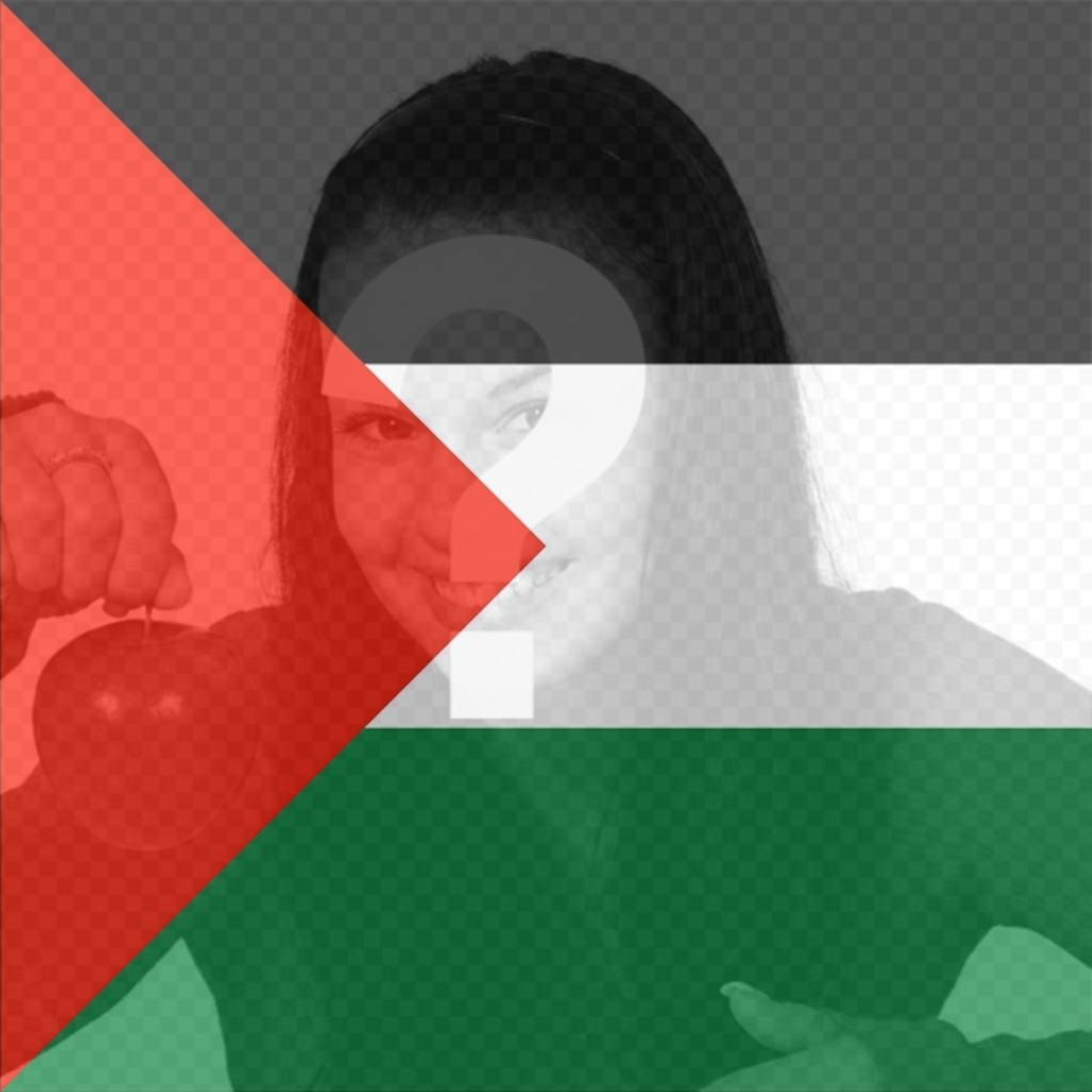 Filtro da bandeira de Palestina para colocar em sua foto. ..