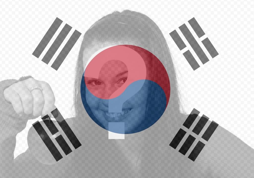 Filtro da bandeira da Coreia do Sul para sua foto ..