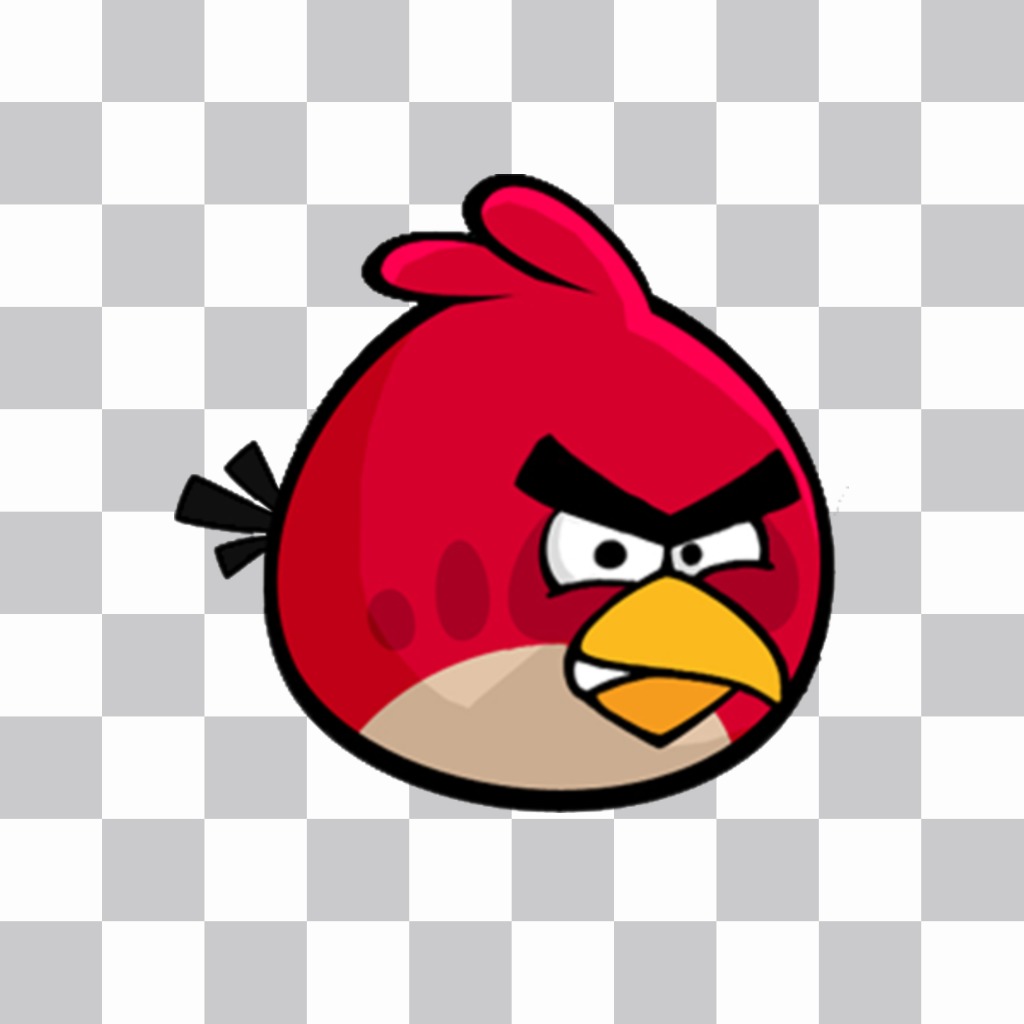 Big Bird para colocar sobre as suas fotos se você gosta de Angry Birds ..