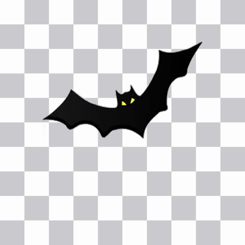 Fotomontagem para decorar sua foto com um morcego voando ..
