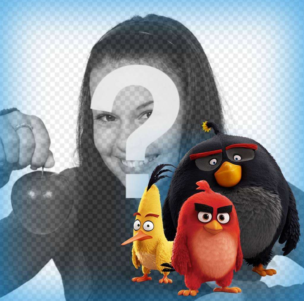 Os personagens de Angry Birds que o acompanham em suas fotos com este efeito ..