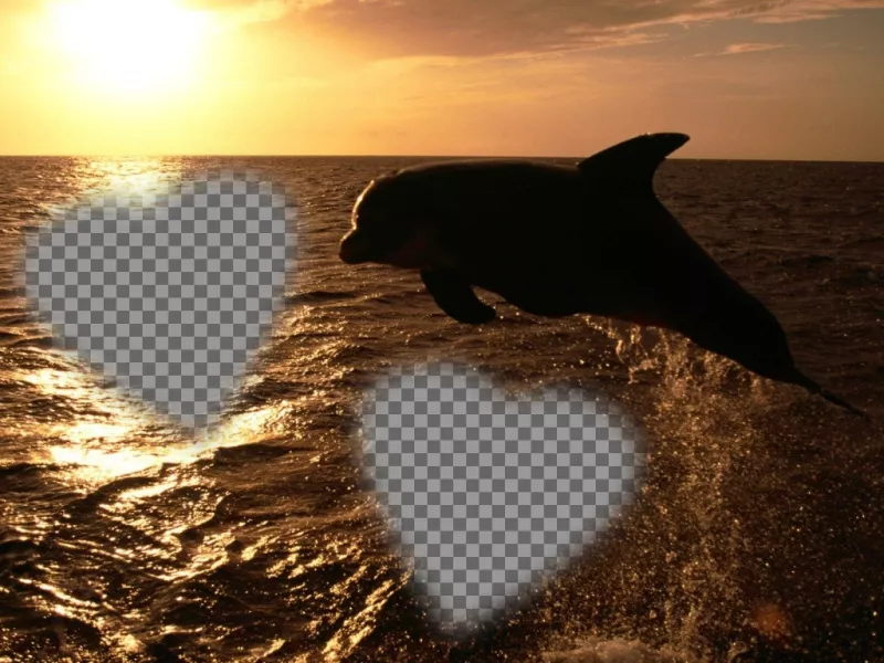 Cartão customizável para duas fotos em forma de corações e um golfinho. ..