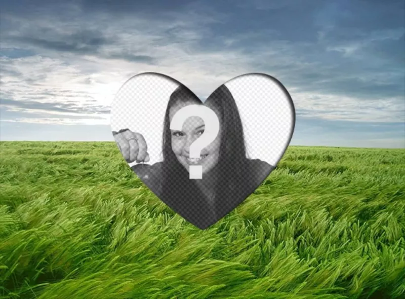Amor lightframe para colocar um coração romântico imagem moldada em uma paisagem com campo de trigo verde e céu..