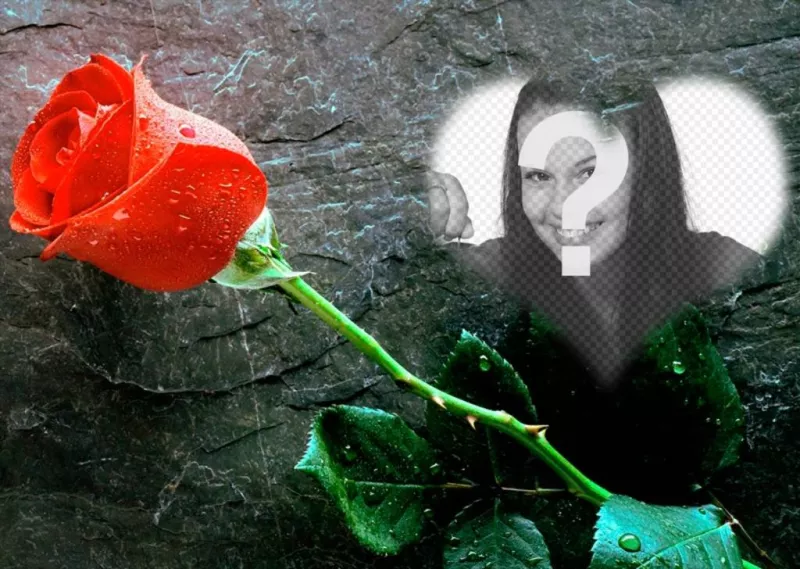 Coloque uma foto dentro de um coração com uma rosa ao lado deste efeito foto amo que você pode enviar como um cartão..