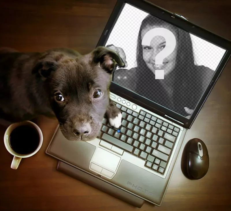 Colagem com um cachorro jogando em um computador onde você pode colocar sua fotografia. ..