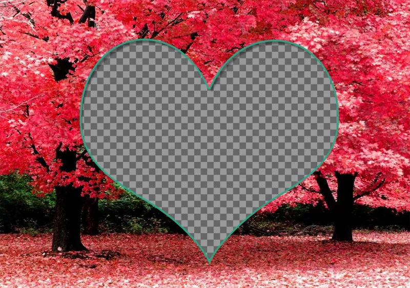 Quadro para duas fotos dentro de um coração em flores de cerejeira. ..