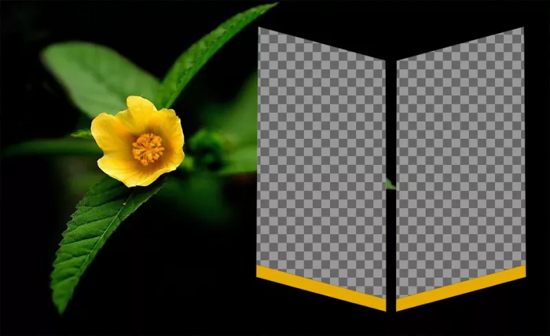 Definir ao lado de uma flor amarela para duas fotos como insígnia. ..