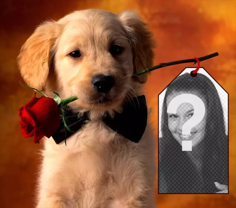 Fotomontagem com um filhote de cachorro para colocar sua foto em um cartão de posse do filhote de cachorro. ..
