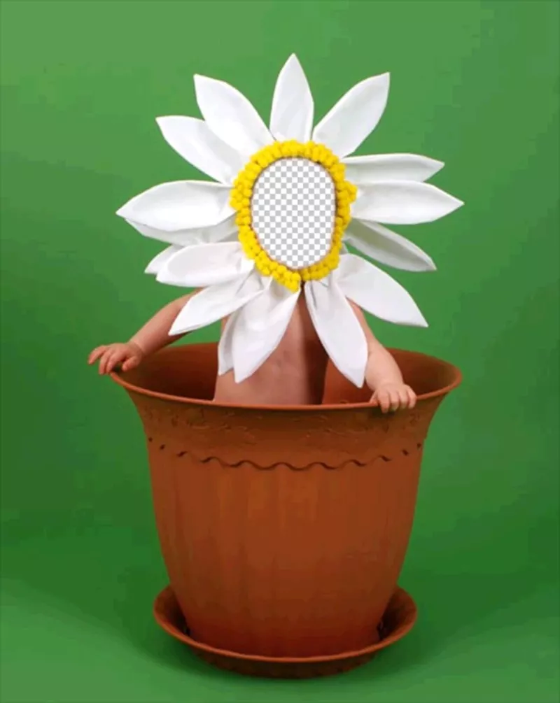 Fotomontagem para crianças disfarçar de uma flor em uma panela ..