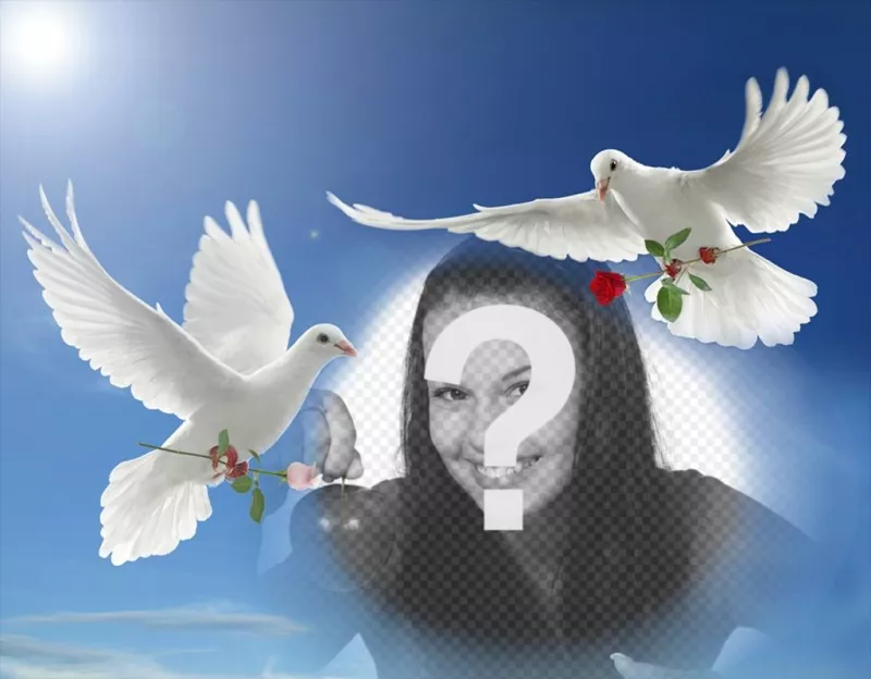 Efeito da foto da paz com as duas pombas brancas voando ..