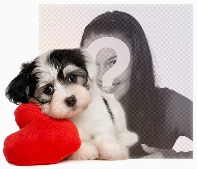 Efeito da foto de um filhote de cachorro com um coração para o seu ..