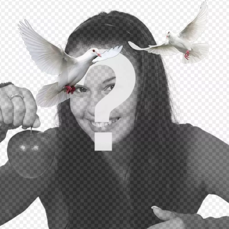 Dois pombos quadro..