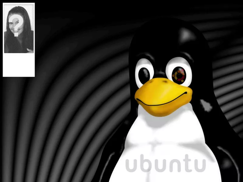 Background para o Twitter do mascote do Linux Tux onde você pode colocar sua..