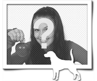 digital picture frame consiste em uma borda cinza e uma silhueta branca um cão com o rabo levantado tivesse encontrado uma trilha