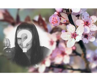 fotomontagem em um fundo borrado com flores cerejeira e uma photoframe semitransparente arredondado colocar sua foto