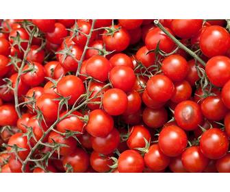 jogo educativo onde voce colocar uma imagem em um tomate as criancas aprenderem comer vegetais uma forma divertida