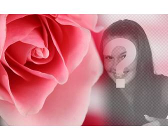 fotomontagem romantico com uma rosa cor rosa e fundo desfocado onde sobrepor uma foto mesmo ou seu parceiro