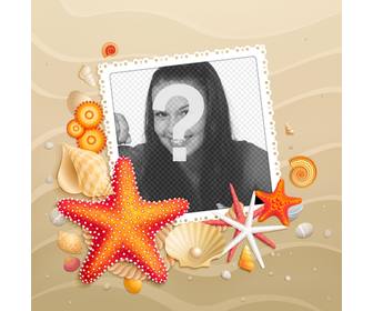 personalize o seu avatar com um fundo praia com estrela do mar verão facebook e twitter
