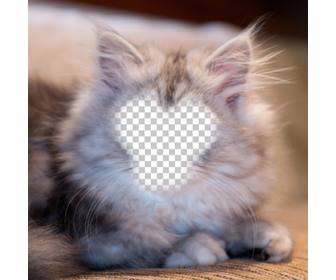 fotomontagem tornar um gato persa branco e cinza com seu