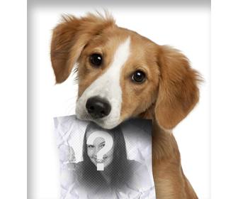fotomontagem com cachorro triste olhando o seu proprietario tem um papel na boca onde voce pode fazer upload uma foto