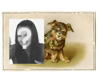 cartão natal do vintage com filhote cachorro preto e marrom desenhado sorridente segurando um ramo azevinho com boca