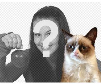 fotomontagem com gato grumpry meme tornou famoso em toda internet