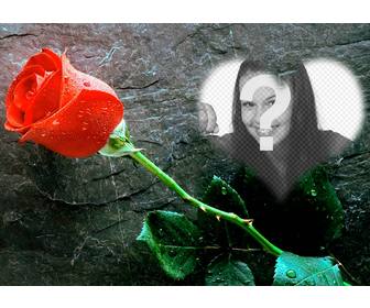 coloque uma foto um coracão com uma rosa ao lado deste efeito foto amo voce pode enviar um cartão postal