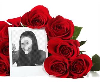 photo frame on-line rodeado um buque rosas