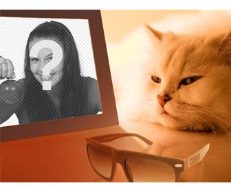 fotomontagem um gato entediado vendo sua foto em voce coloca imagem voce deseja