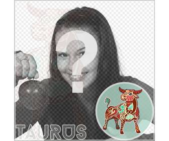 touro perfil composicão do zodiaco suas fotos