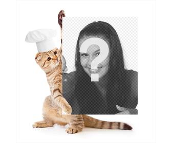 fotomontagem com um gato vestido cozinheiro segurando sua foto