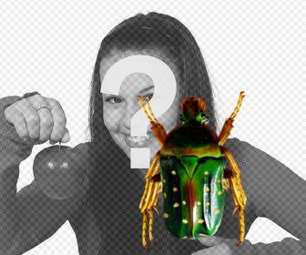 etiqueta com um besouro verde colocar em suas fotografias bichos-pau