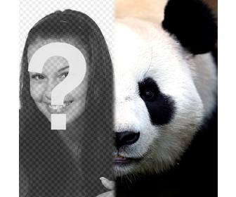 transforme sua metade panda rosto com fotomontagem