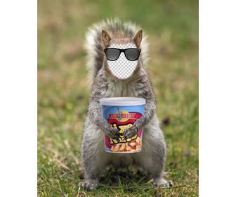 ponha seu rosto em um esquilo com um oculos do moderno e uma lata amendoins
