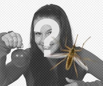 fotomontagem on-line colocar um mosquito em suas fotos