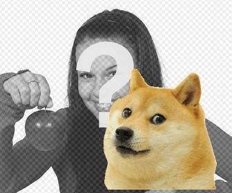 etiqueta do doge meme