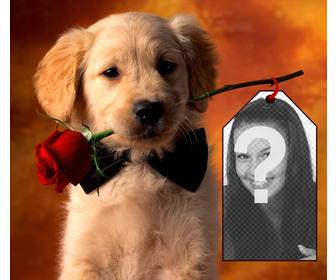 fotomontagem com um filhote cachorro colocar sua foto em um cartão posse do filhote cachorro