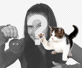 arranhando etiqueta do gato colocar suas fotos online
