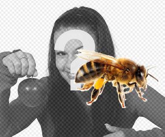 uma etiqueta abelha voce pode colocar em suas fotos muito facilmente