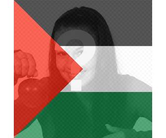 filtro da bandeira palestina colocar em sua foto