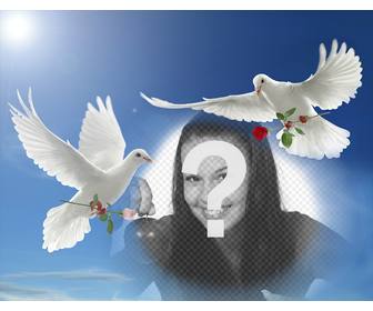 efeito da foto da paz com as duas pombas brancas voando