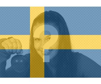 efeito da foto da bandeira sueca sua foto