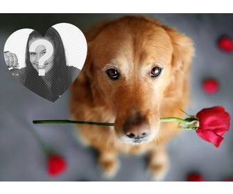 efeito romantico foto com um cão e uma rosa adicionar sua foto