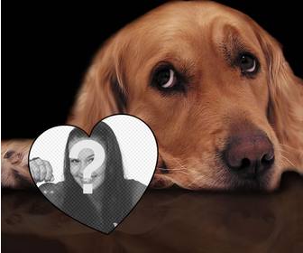 amor fotomontagem com um cão concurso adicionar sua foto um