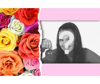 cartão postal rosas coloridas cartão fazer uma foto do detalhe especial o valentine