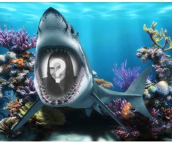 sua foto dentro da boca um tubarão sob o mar com esta fotomontagem divertido