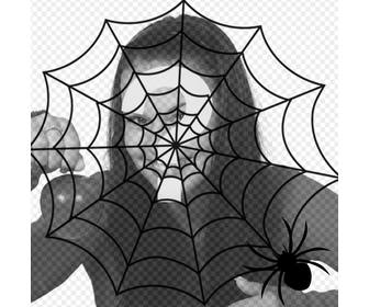 coloque uma tela aranhas e uma aranha na sua foto efeito terrorista