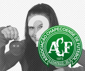 escudo da equipa do futebol chapecoense colocar suas fotos online