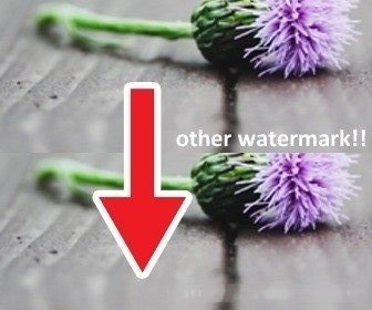 Remover marca d'água de fotos online