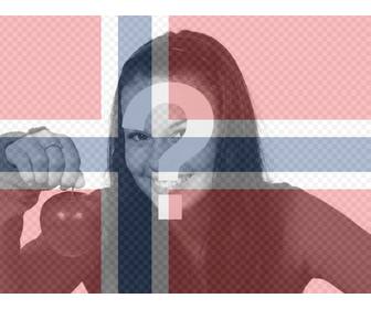 filtro da bandeira noruega suas imagens gratuitamente